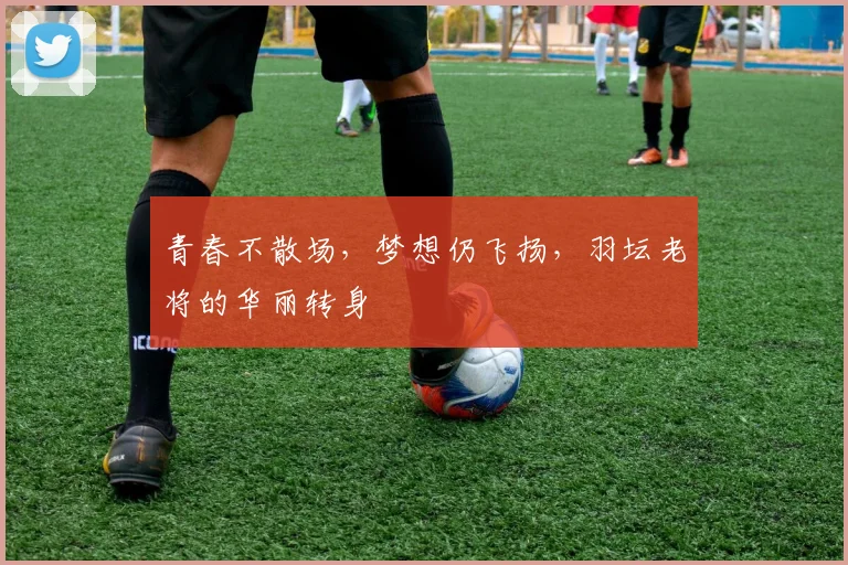 青春不散场，梦想仍飞扬，羽坛老将的华丽转身